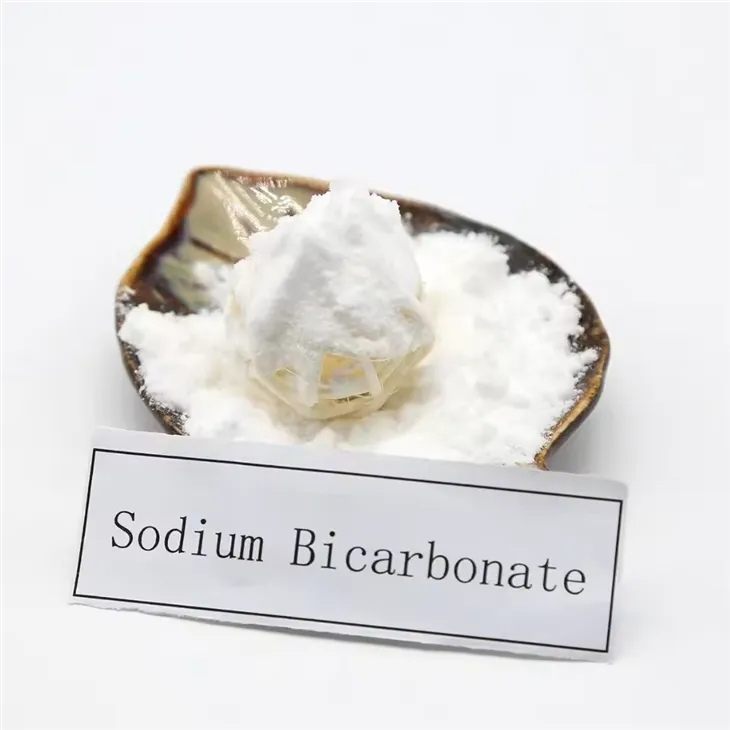 Sodium Bicarbonate in English